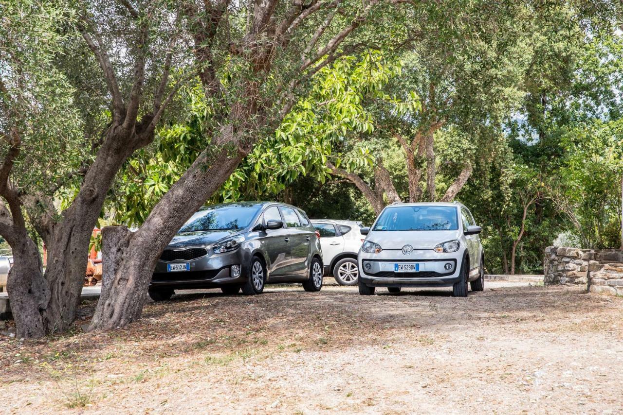 Le Voyageur Cilento Bed & Breakfast Vibonati Dış mekan fotoğraf